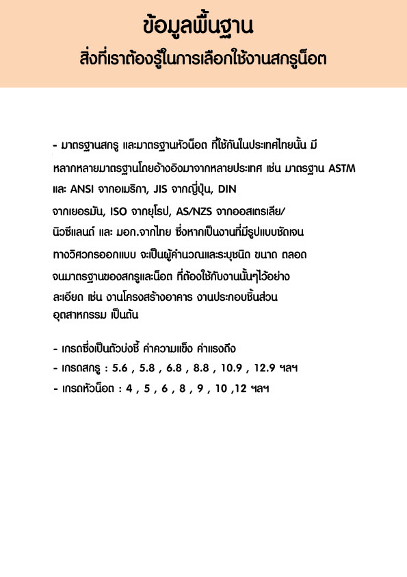 ข้อมูลพื้นฐานเกี่ยวกับสกรูน๊อต